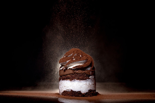 Side view of a fresh baked chocolate cake sprinkled with cocoa on countertop with dark background. Low key. Winter food and drink concept. Selective focus.