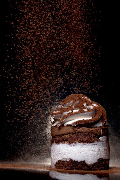 Side view of a fresh baked chocolate cake sprinkled with cocoa on countertop with dark background. Low key. Winter food and drink concept. Selective focus.