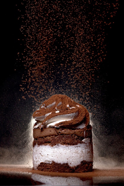 Side view of a fresh baked chocolate cake sprinkled with cocoa on countertop with dark background