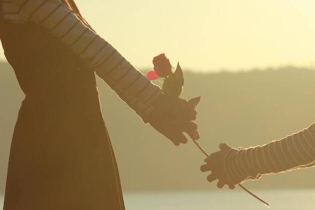 Foto vista laterale di una ragazza e un ragazzo che tengono una rosa