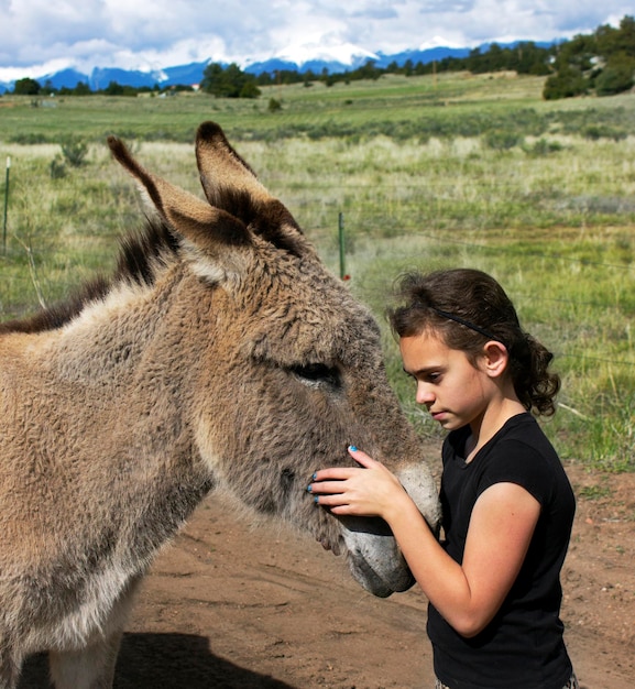 Foto vista laterale di una ragazza con un asino sul campo