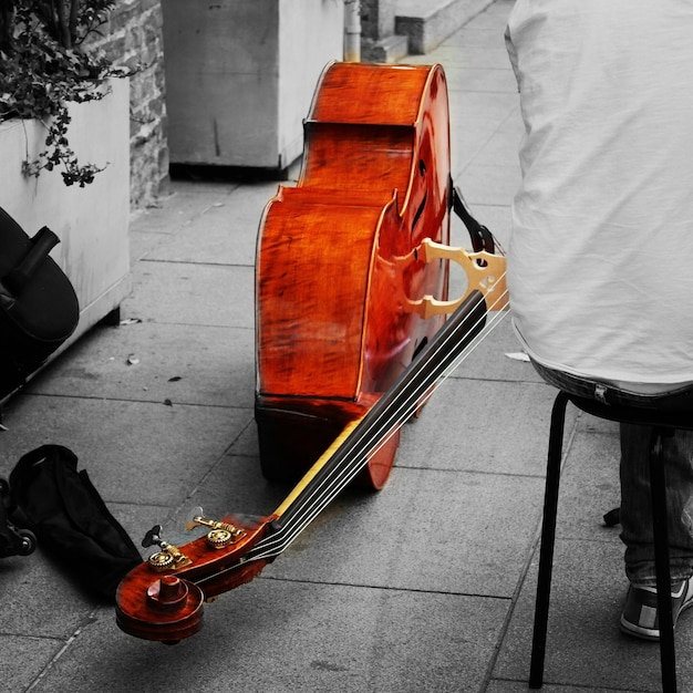 Foto vista laterale di una chitarra