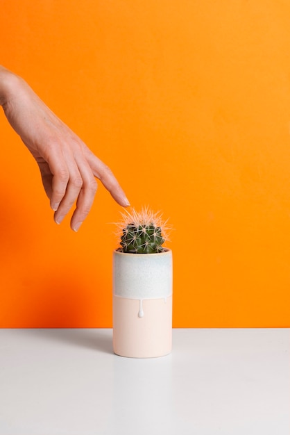 Side view hand posing with cactus