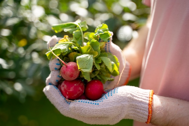 Photo side view hands holding radishes