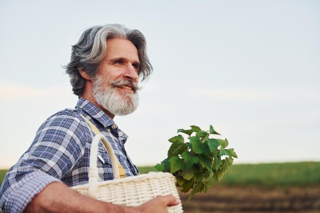 Side view Holding basket In yellow uniform Senior stylish man with grey hair and beard on the agricultural field with harvest