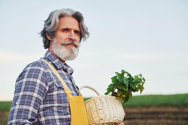 Side view Holding basket In yellow uniform Senior stylish man with grey hair and beard on the agricultural field with harvest