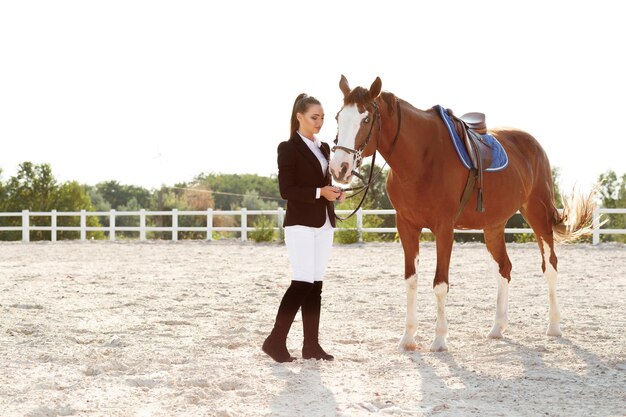 Side view of horse standing on field against clear sky