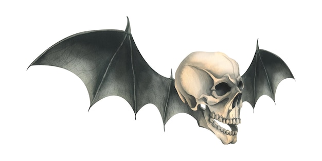 Foto cranio umano con vista laterale con ali di pipistrello nere per le vacanze del giorno della morte e halloween illustrazione acquerello disegnata a mano composizione isolata su sfondo bianco