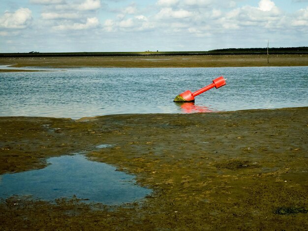 Side view of man on beach