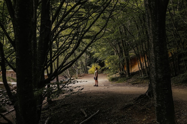 Вид сбоку на человека посреди пышного леса, смотрящего в сторону