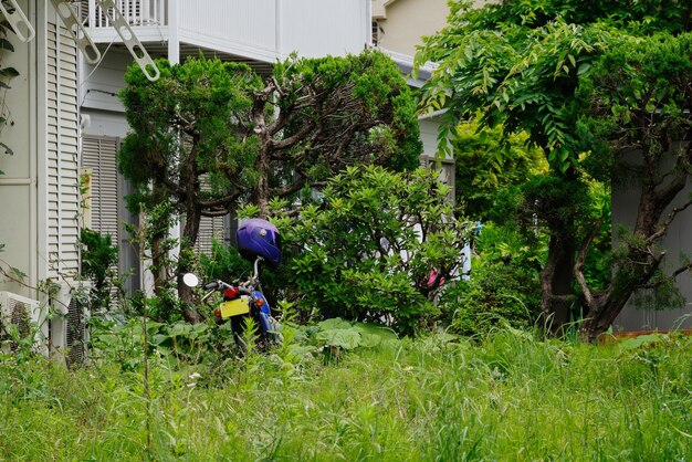 Side view of man riding bicycle on field