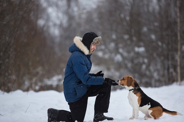 Side view at a man training american beagle breed dog on field in winter