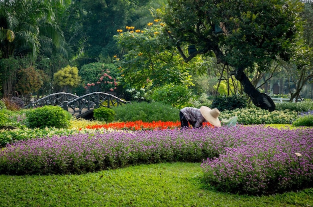 Landscaped flower garden Beautiful flower garden with