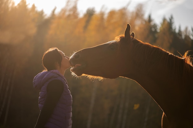 夕暮れの木に立って馬にキスする中年女性の横の景色