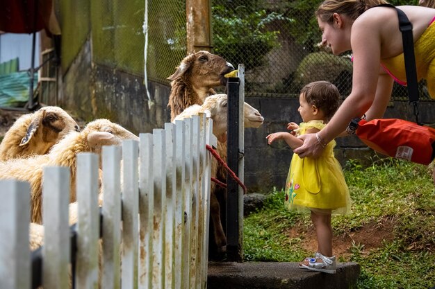 Foto vista laterale di madre e figlia che guardano le capre