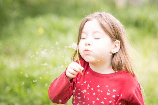 写真 パンデリオンを吹く女の子の横の景色