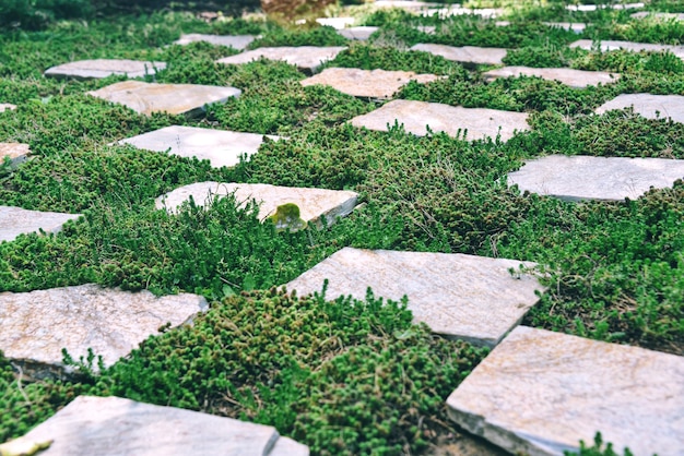 写真 公式の庭園の敷地内植物の横の景色