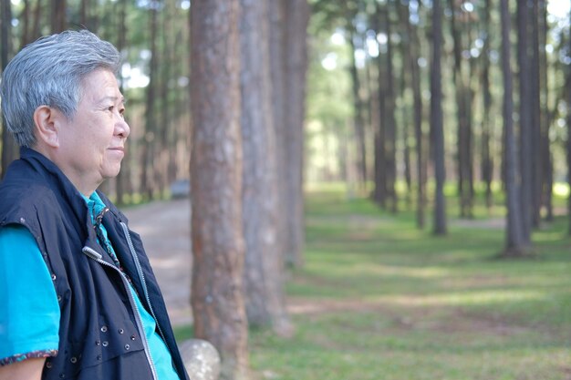 写真 森を見ている男の横の景色