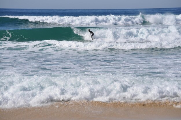 写真 海でサーフィンをしている人の横の景色