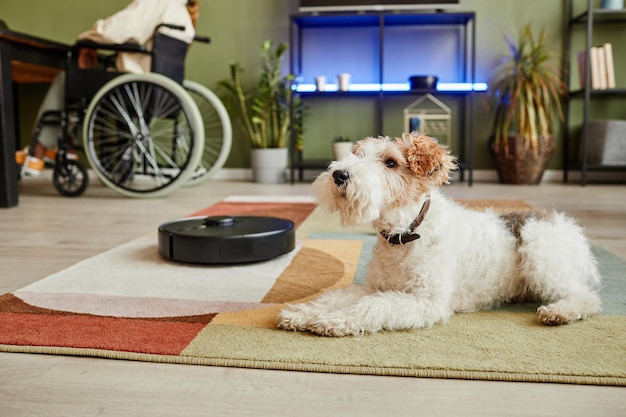 Side view portrait of cute shaggy dog on carpet in modern home copy space