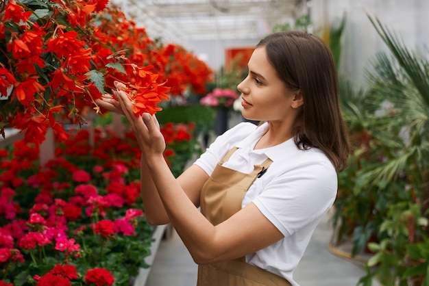 Side view portrait of smiling attractive brunette young woman admiring beautiful red and pink flowers in large modern greenhouse. Concept of walking in greenhouse and care for plants.