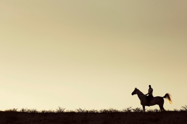 Photo side view of silhouette horse on field against sky