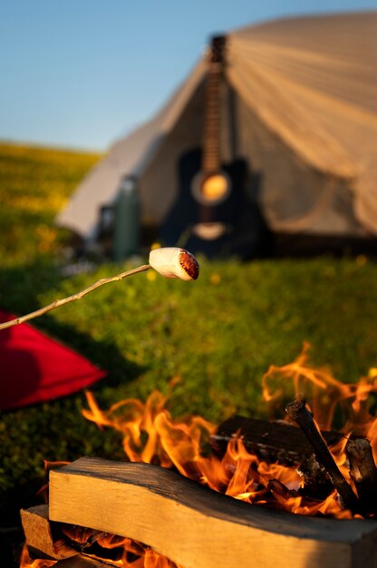 Photo side view stick holding marshmallow