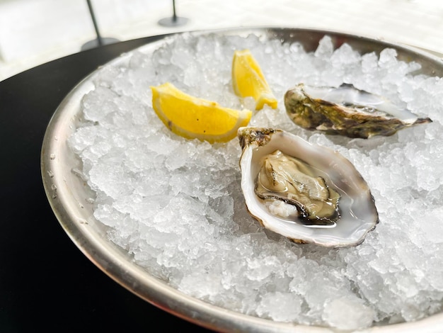 Side view of two fresh opened oysters on a stainless steel plate with ice and lemon Delicacy Delicatessen Eat Eating Edible Fish Ingredient White Dish Gourmet Kitchen Cold