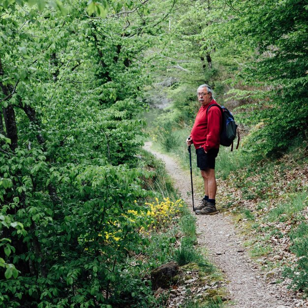 Foto side view van een mannelijke wandelaar die met een wandelpaal staat in het midden van planten in het bos