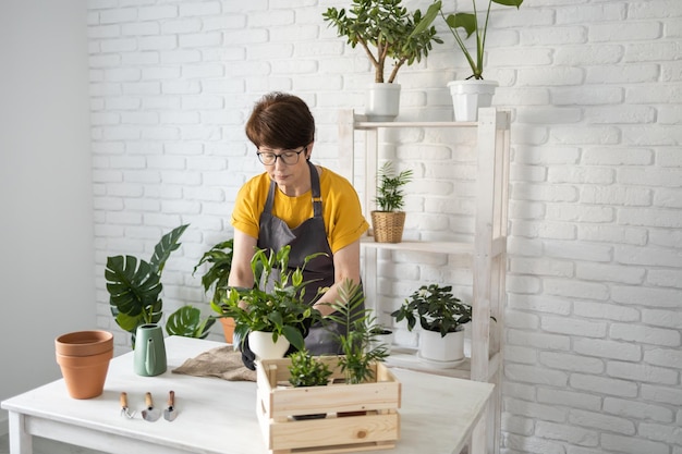 Photo side view of woman holding potted plant against wall