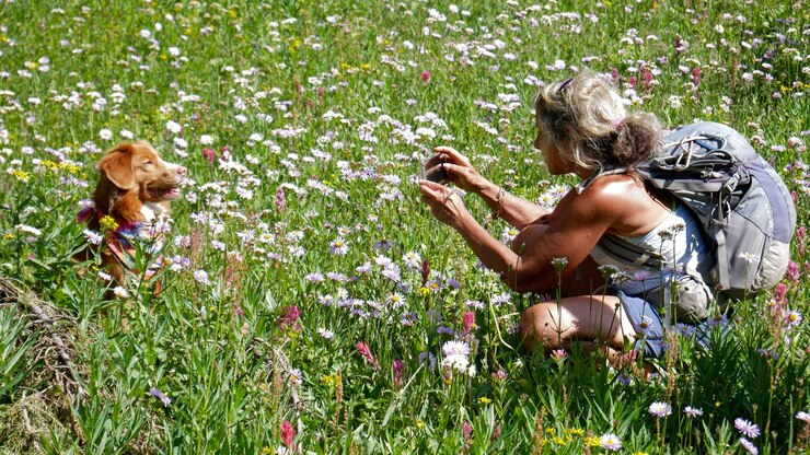 Photo side view of woman photographing dog amidst flowers