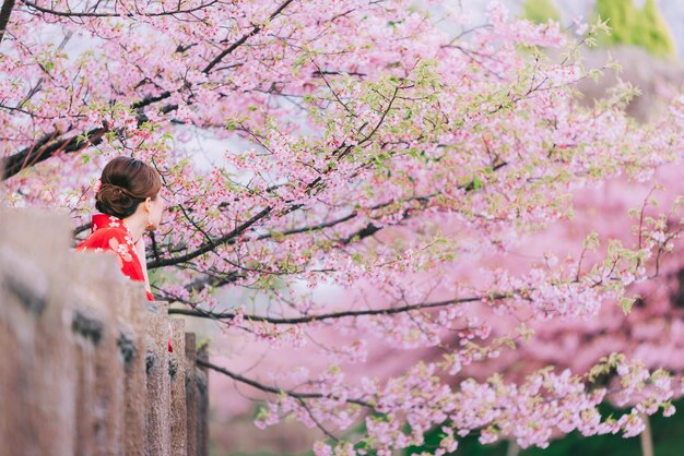 Foto vista laterale di una donna in piedi contro gli alberi di ciliegio rosa in fiore