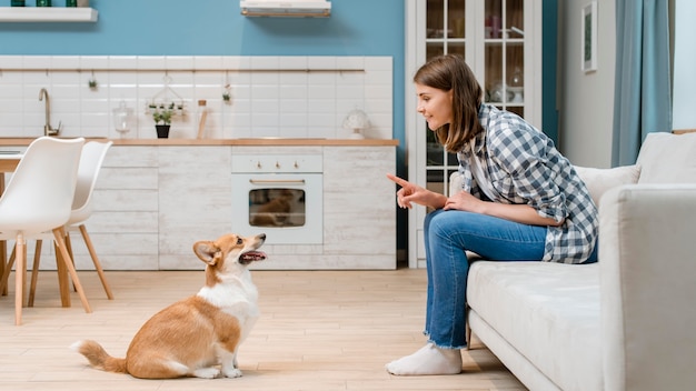 Side view of woman training her dog to sit