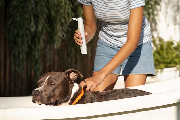 写真 犬を洗う側面図の女性