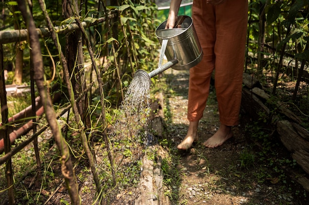 写真 植物に水をまく女性の側面図