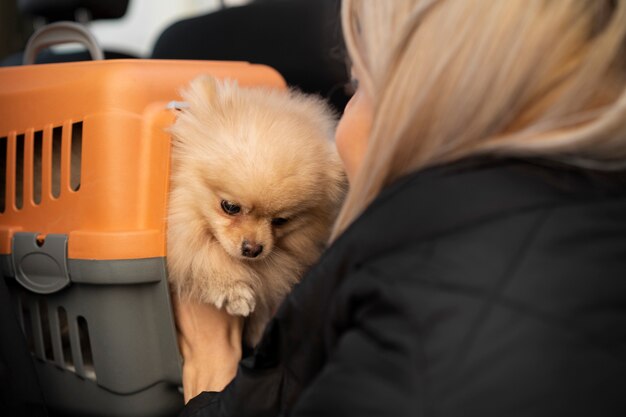 写真 かわいい犬と側面図の女性