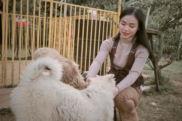 野原でヤギを飼っている女性の横の景色