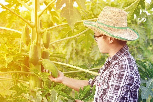 Side view of young man looking at papaya