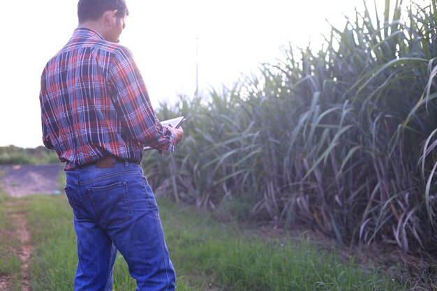 Side view of young man standing on sugarcane field