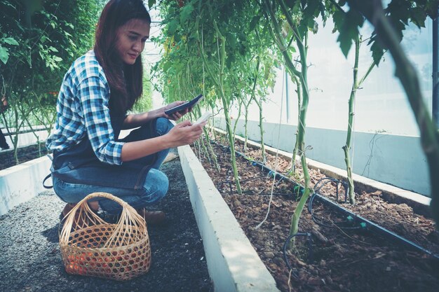 Photo side view of young woman sitting on plant