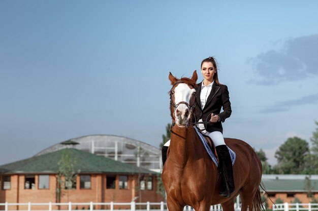 Photo side view of young woman with horse on field against sky
