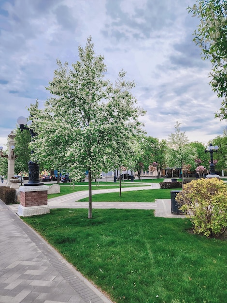 A sidewalk in front of a park with trees and a fountain in the foreground.