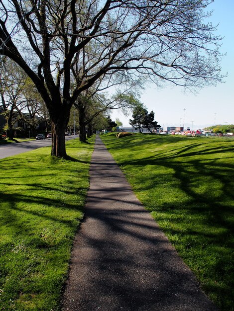 Sidewalk in grassy field against sky