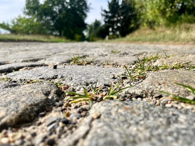 Тротуарная дорога, выложенная старыми камнями