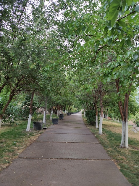 A sidewalk with a bunch of gravestones on it