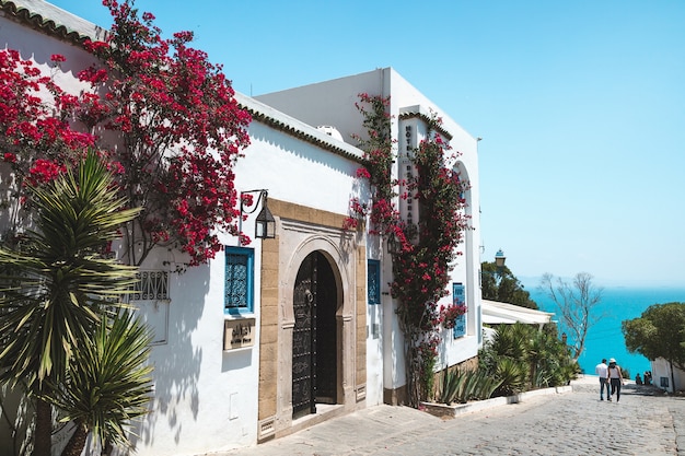 Sidi Bou Said, Tunesië. Uitzicht op straat en zee