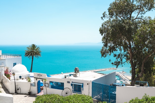 Sidi Bou Said, Tunisia