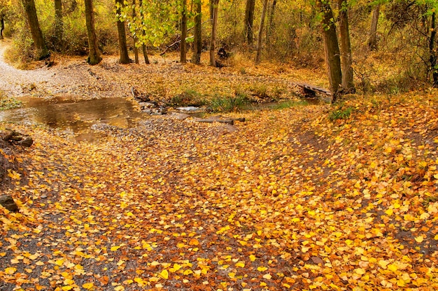 Sierra de baza natural park in granada andalusia  spain