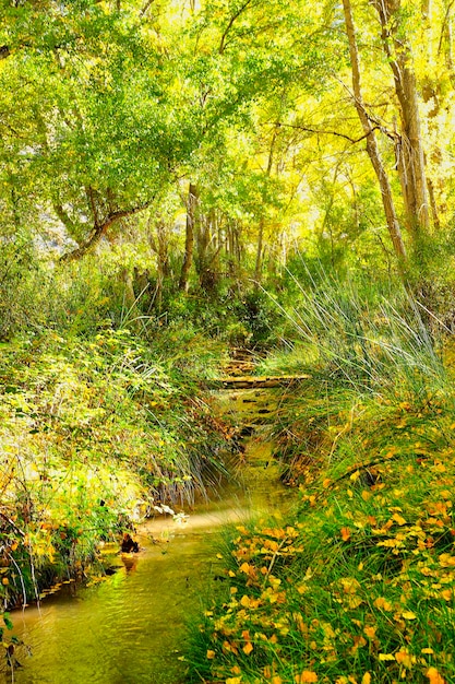 Sierra de baza natuurpark in granada andalusië spanje