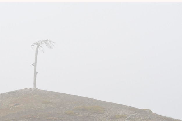 Sierras de Cazorla, Segura and Las Villas Natural Park - Jaen 